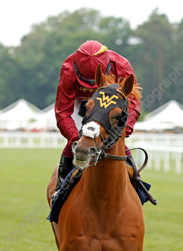 Nakatomi-0002 
 NAKATOMI (Oisin Murphy)
Ascot 17 Jun 2021 - Pic Steven Cargill / Racingfotos.com