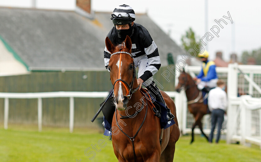 Piselli-Molli-0001 
 PISELLI MOLLI (Luke Morris)
Yarmouth 1 Jul 2021 - Pic Steven Cargill / Racingfotos.com