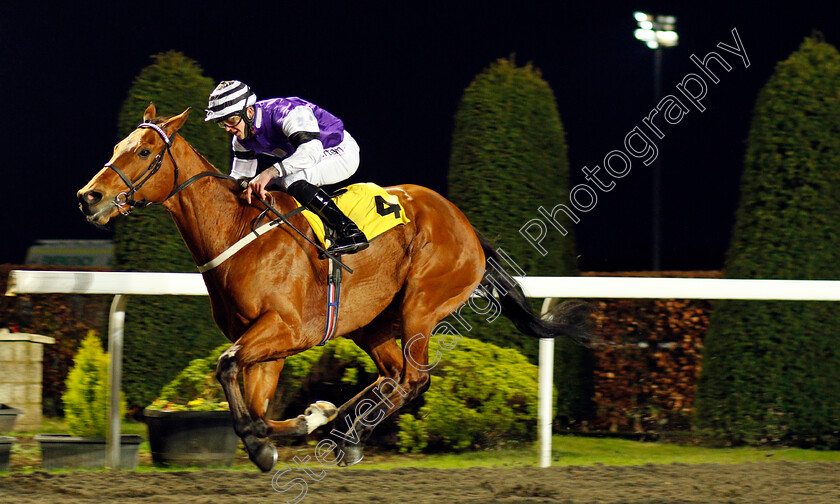 Born-To-Be-Alive-0003 
 BORN TO BE ALIVE (Clifford Lee) wins The Unibet 3 Uniboosts A Day Handicap
Kempton 3 Feb 2021 - Pic Steven Cargill / Racingfotos.com