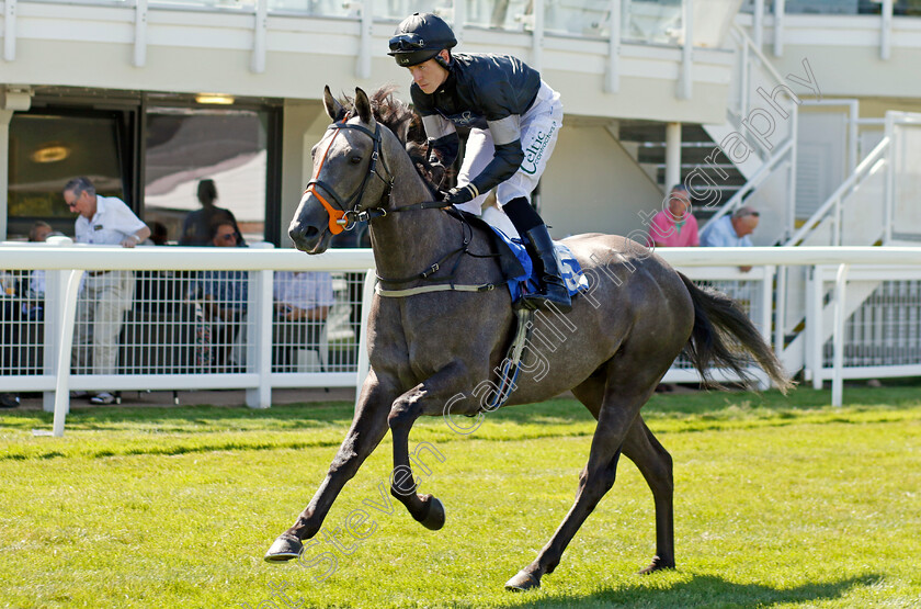 Roundabout-Silver-0001 
 ROUNDABOUT SILVER (Paddy Bradley)
Salisbury 11 Aug 2022 - Pic Steven Cargill / Racingfotos.com