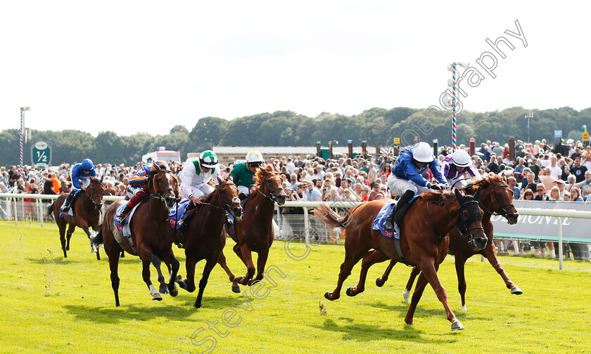 Yibir-0002 
 YIBIR (James Doyle) wins The Sky Bet Great Voltigeur Stakes
York 18 Aug 2021 - Pic Steven Cargill / Racingfotos.com