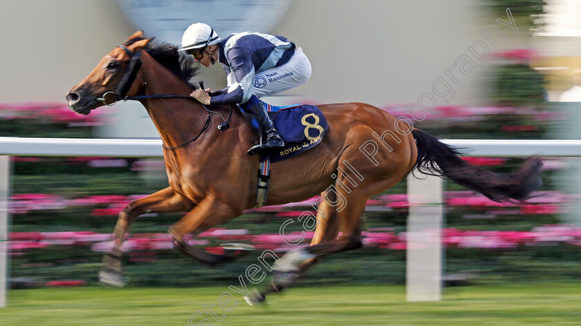 Uxmal-0001 
 UXMAL (Dylan Browne McMonagle) wins The Queen Alexandra Stakes
Royal Ascot 22 Jun 2024 - Pic Steven Cargill / Racingfotos.com