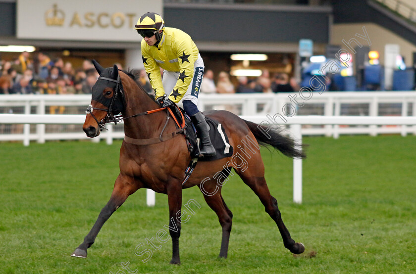 Anno-Power-0006 
 ANNO POWER (Jonathan Burke) wins The British EBF Mares Open National Hunt Flat Race
Ascot 17 Feb 2024 - Pic Steven Cargill / Racingfotos.com