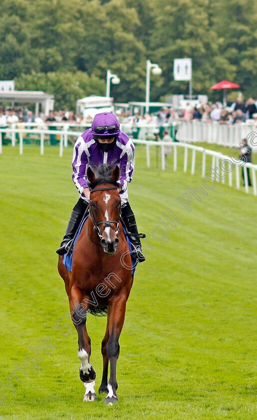 St-Mark s-Basilica-0003 
 ST MARK'S BASILICA (Ryan Moore) before winning The Coral Eclipse Stakes
Sandown 3 Jul 2021 - Pic Steven Cargill / Racingfotos.com