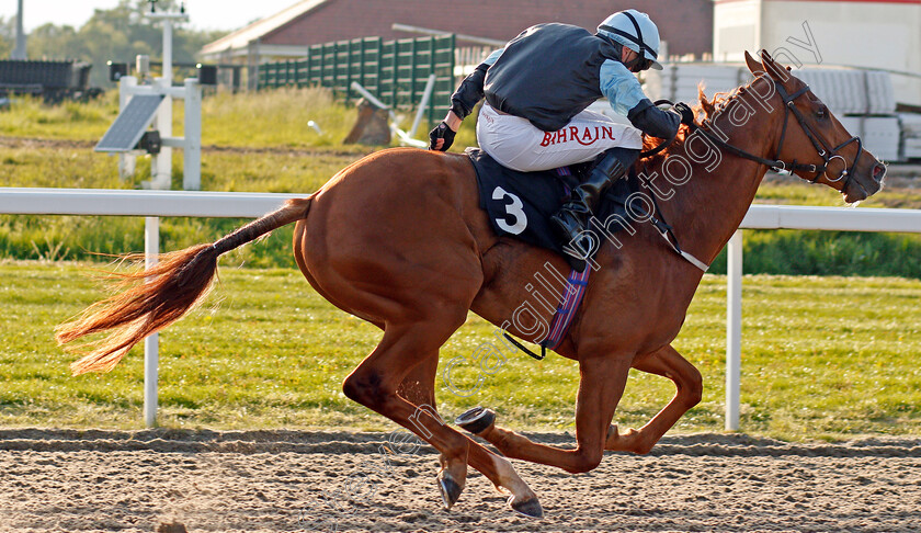 Scudamore-0004 
 SCUDAMORE (Tom Marquand) wins The tote.co.uk Free Streaming Every UK Race Handicap
Chelmsford 3 Jun 2021 - Pic Steven Cargill / Racingfotos.com