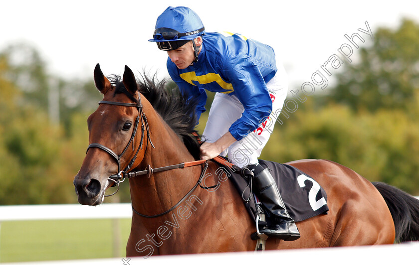 Dubawi-Meeznah-0001 
 DUBAWI MEEZNAH (Jamie Spencer)
Chelmsford 30 Aug 2018 - Pic Steven Cargill / Racingfotos.com