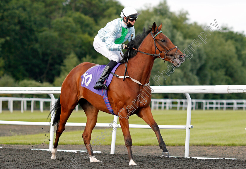 Miss-Zenlingus-0002 
 MISS ZENLINGUS (Charles Bishop)
Kempton 30 Jun 2021 - Pic Steven Cargill / Racingfotos.com