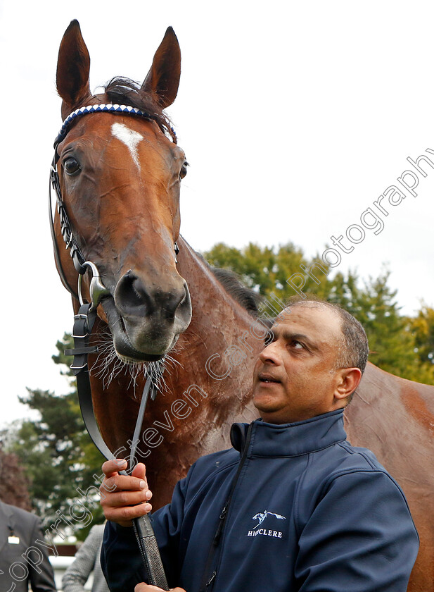 Commissioning-0012 
 COMMISSIONING winner of The Al Basti Equiworld Dubai Rockfel Stakes
Newmarket 23 Sep 2022 - Pic Steven Cargill / Racingfotos.com