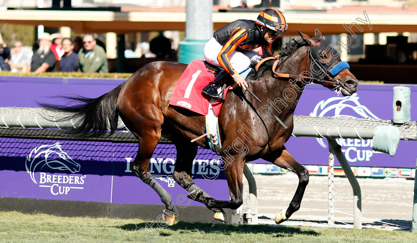 Rayana-0004 
 RAYANA (Joel Rosario) wins Allowance
Santa Anita USA 1 Nov 2019 - Pic Steven Cargill / Racingfotos.com