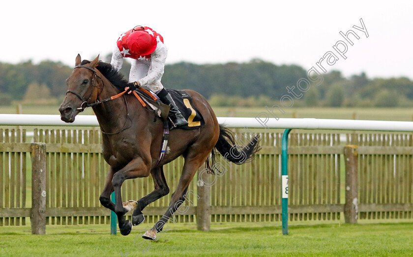 Al-Nayyir-0004 
 AL NAYYIR (Luke Morris) wins The Jockey Club Rose Bowl Stakes
Newmarket 26 Sep 2024 - Pic Steven Cargill / Racingfotos.com