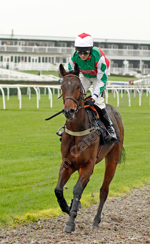 Lunar-Contact-0001 
 LUNAR CONTACT (Tom Cannon)
Market Rasen 17 Nov 2022 - Pic Steven Cargill / Racingfotos.com