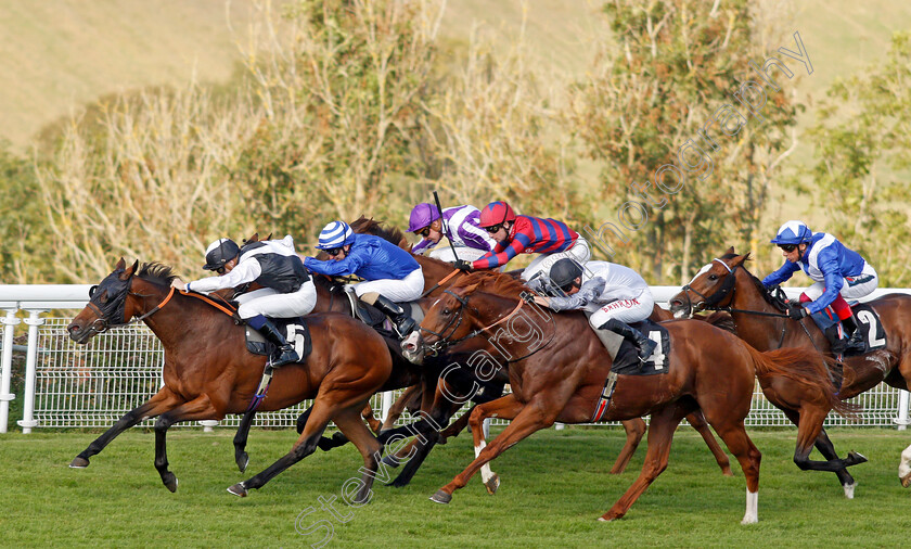 Victory-Chime-0006 
 VICTORY CHIME (Hector Crouch) beats TYSON FURY (right) in The Best of British Events Foundation Stakes
Goodwood 22 Sep 2021 - Pic Steven Cargill / Racingfotos.com