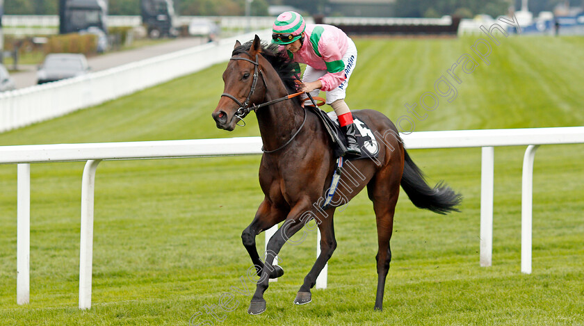 Raakib-Alhawa-0001 
 RAAKIB ALHAWA (Andrea Atzeni)
Ascot 5 Oct 2019 - Pic Steven Cargill / Racingfotos.com