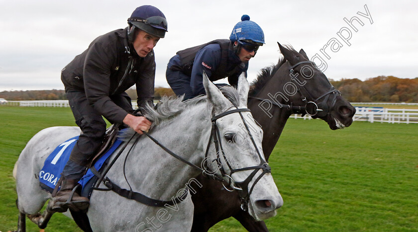 Sail-Away-and-Etalon-0003 
 SAIL AWAY (left, Derek O'Connor) with ETALON (right, Lorcan Williams) 
Coral Gold Cup Gallops Morning
Newbury 21 Nov 2023 - Pic Steven Cargill / Racingfotos.com