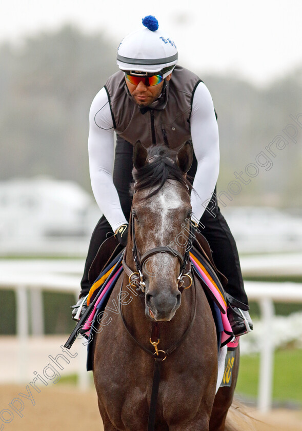 Pandagate-0001 
 PANDAGATE training for The UAE Derby
Meydan Dubai 26 Mar 2024 - Pic Steven Cargill / Racingfotos.com