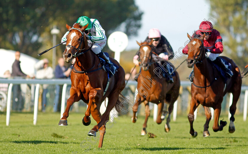 Sunbelt-0003 
 SUNBELT (Robert Havlin) wins The British Stallion Studs EBF Fillies Novice Stakes Div2
Yarmouth 18 Oct 2022 - Pic Steven Cargill / Racingfotos.com