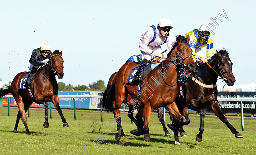 Glorious-Charmer-0006 
 GLORIOUS CHARMER (centre, Jamie Spencer) beats MASTER MATT (right) in The Grosvenor Casino Of Great Yarmouth Nursery
Yarmouth 23 Oct 2018 - Pic Steven Cargill / Racingfotos.com