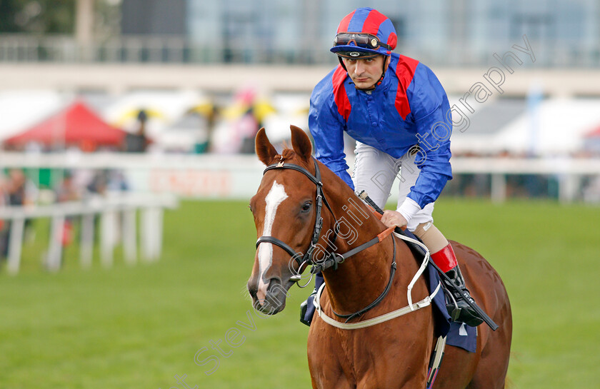 Nayef-Road-0001 
 NAYEF ROAD (Andrea Atzeni)
Doncaster 10 Sep 2021 - Pic Steven Cargill / Racingfotos.com