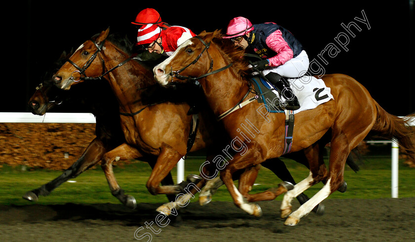 Heatherdown-and-Lee-Roy-0001 
 HEATHERDOWN (centre, Martin Harley) with LEE ROY (right, Kieren Fox)
Kempton 5 Jan 2019 - Pic Steven Cargill / Racingfotos.com