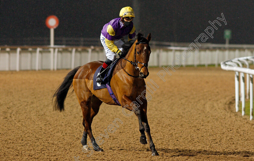 Big-Kitty-0001 
 BIG KITTY (Ben Curtis)
Wolverhampton 4 Jan 2021 - Pic Steven Cargill / Racingfotos.com