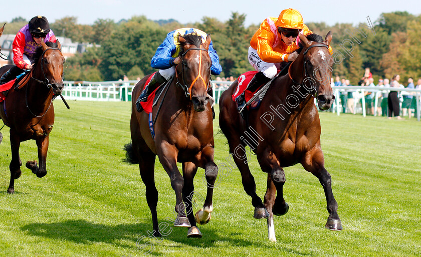 Rajinsky-0006 
 RAJINSKY (right, Richard Kingscote) beats WALKINTHESAND (centre) in The Bet & Watch At 188bet.co.uk EBF Maiden Stakes Div1
Sandown 31 Aug 2018 - Pic Steven Cargill / Racingfotos.com