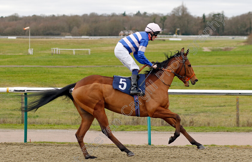 Hatadora-0001 
 HATADORA (Liam Keniry)
Lingfield 23 Dec 2023 - Pic Steven Cargill / Racingfotos.com