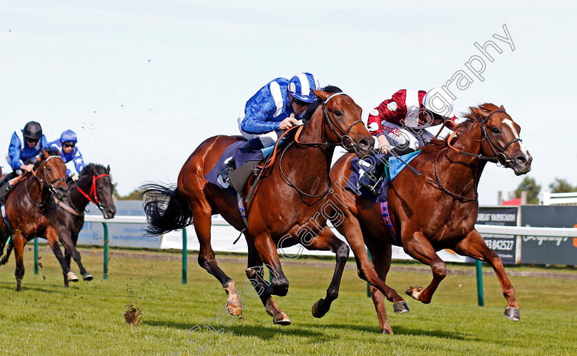 Mutaaqeb-0002 
 MUTAAQEB (left, Jim Crowley) beats RULE OF HONOUR (right) in The British Stallion Studs EBF Novice Stakes Yarmouth 19 Sep 2017 - Pic Steven Cargill / Racingfotos.com