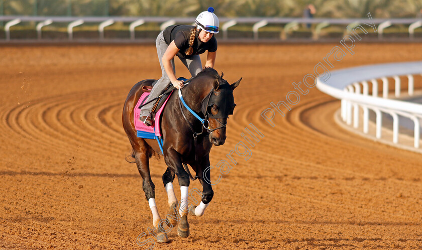 Gunite-0004 
 GUNITE training for The Riyadh Turf Sprint
King Abdulaziz Racecourse, Kingdom Of Saudi Arabia, 23 Feb 2023 - Pic Steven Cargill / Racingfotos.com