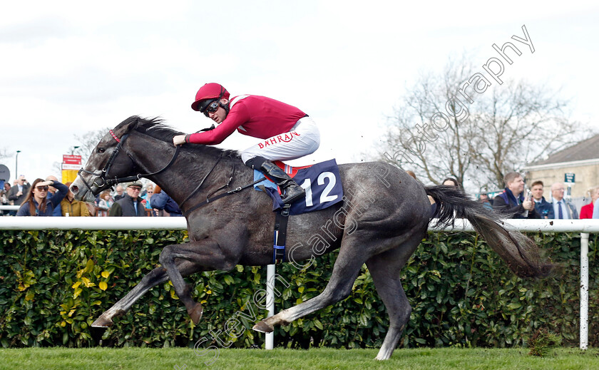 Theoryofeverything-0002 
 THEORYOFEVERYTHING (Robert Havlin) wins The Made In Doncaster St Leger Novice Stakes
Doncaster 2 Apr 2023 - Pic Steven Cargill / Racingfotos.com