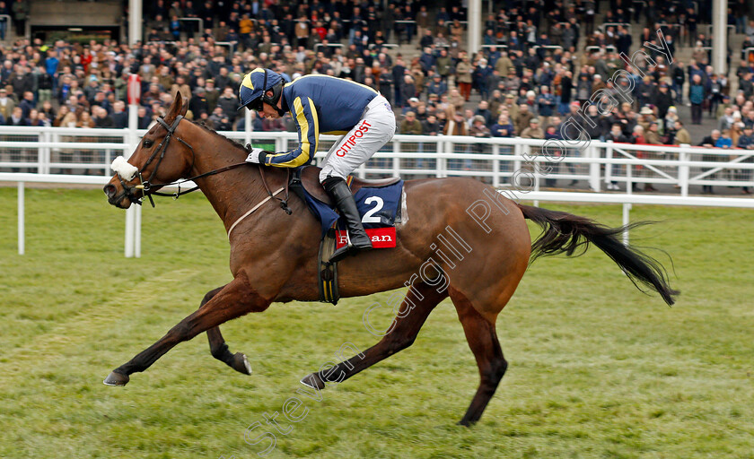 Kalondra-0007 
 KALONDRA (Noel Fehily) wins The Ryman Novices Chase Cheltenham 16 Dec 2017 - Pic Steven Cargill / Racingfotos.com