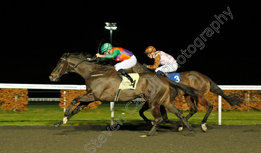 Papa-Stour-0003 
 PAPA STOUR (Marco Ghiani) wins The Unibet 3 Uniboosts A Day Handicap
Kempton 16 Feb 2022 - Pic Steven Cargill / Racingfotos.com