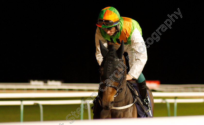 Been-Bobbied-0001 
 BEEN BOBBIED (Connor Murtagh)
Southwell 15 Jan 2020 - Pic Steven Cargill / Racingfotos.com