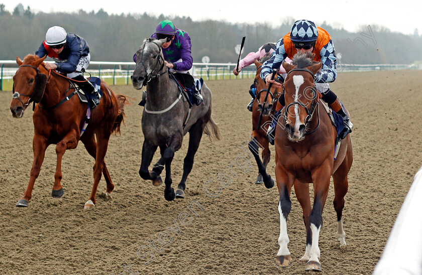 Rusper-0005 
 RUSPER (right, Dougie Costello) beats ZALSHAH (left) and GUVENOR'S CHOICE (2nd left) in The 32Red Casino Handicap Lingfield 6 Jan 2018 - Pic Steven Cargill / Racingfotos.com