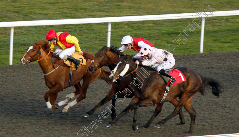 Chiefofchiefs-0001 
 CHIEFOFCHIEFS (right, Richard Kingscote) beats FAMILY FORTUNES (left) and AL JELLABY (centre) in The 32Red.com Handicap
Kempton 4 Jan 2019 - Pic Steven Cargill / Racingfotos.com