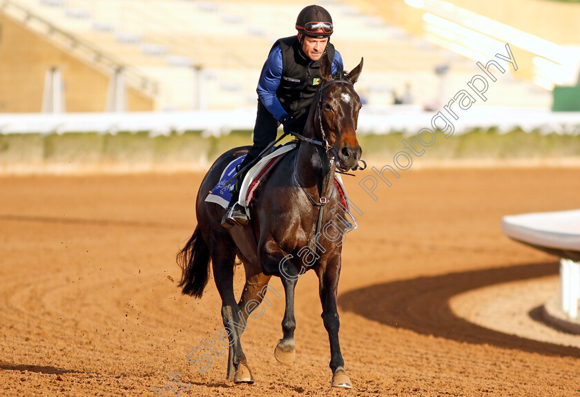 Matilda-Picotte-0003 
 MATILDA PICOTTE training for The 1351 Turf Sprint
King Abdulaziz Racecourse, Saudi Arabia 21 Feb 2024 - Pic Steven Cargill / Racingfotos.com