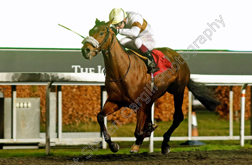 Lessay-0004 
 LESSAY (Oisin Murphy) wins The Unibet / British Stallion Studs EBF Novice Stakes
Kempton 13 Dec 2023 - Pic Steven Cargill / Racingfotos.com