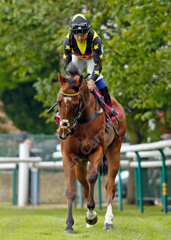 Existent-0001 
 EXISTENT (Marco Ghiani)
Haydock 21 May 2022 - Pic Steven Cargill / Racingfotos.com