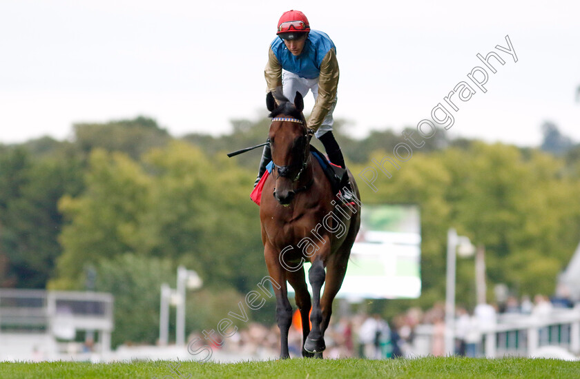 Dunamase-0001 
 DUNAMASE (James Doyle)
Sandown 8 Aug 2024 - Pic Steven Cargill / Racingfotos.com