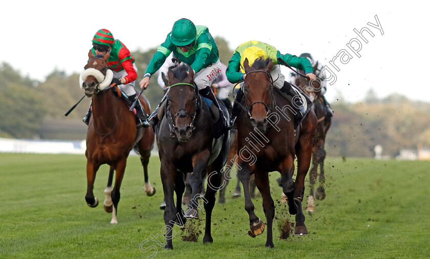 Metal-Merchant-0005 
 METAL MERCHANT (right, Rossa Ryan) beats JEFF KOONS (left) in The Racing Welfare Classified Stakes
Ascot 6 Oct 2023 - Pic Steven Cargill / Racingfotos.com