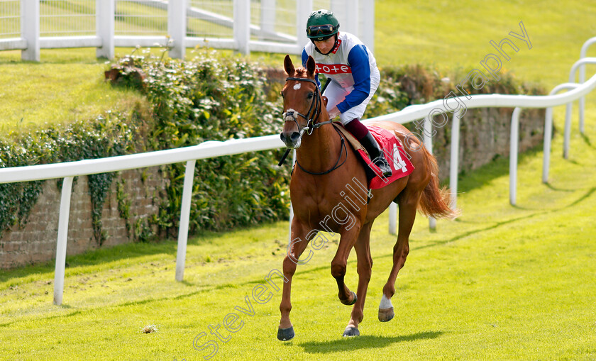 Captain-Square-0001 
 CAPTAIN SQUARE (Rob Hornby)
Sandown 2 Jul 2021 - Pic Steven Cargill / Racingfotos.com