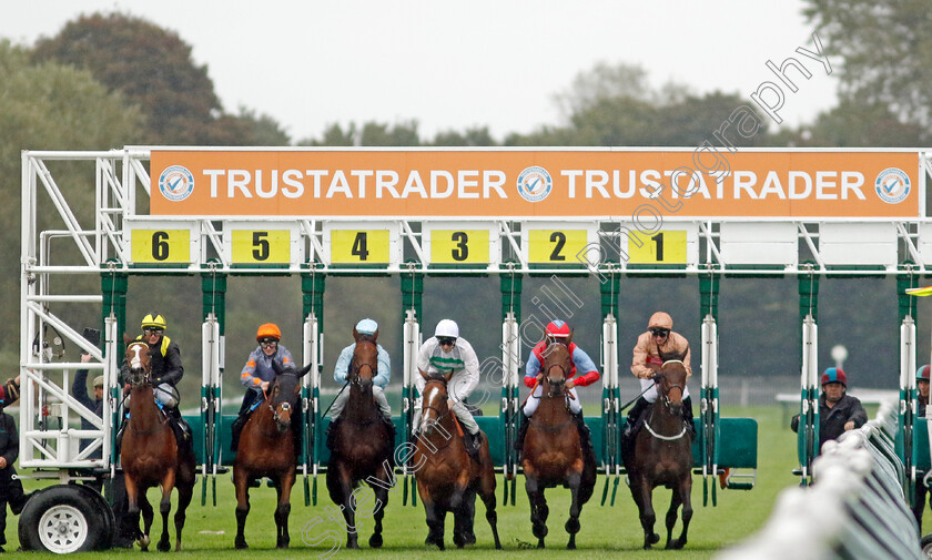 Divine-Comedy-0007 
 winner DIVINE COMEDY (stall 2, Kaiya Fraser) breaks froms the stalls with the field for The Trustatrader Fully Vetted Tradespeople Fillies Handicap
Nottingham 11 Oct 2023 - Pic Steven Cargill / Racingfotos.com