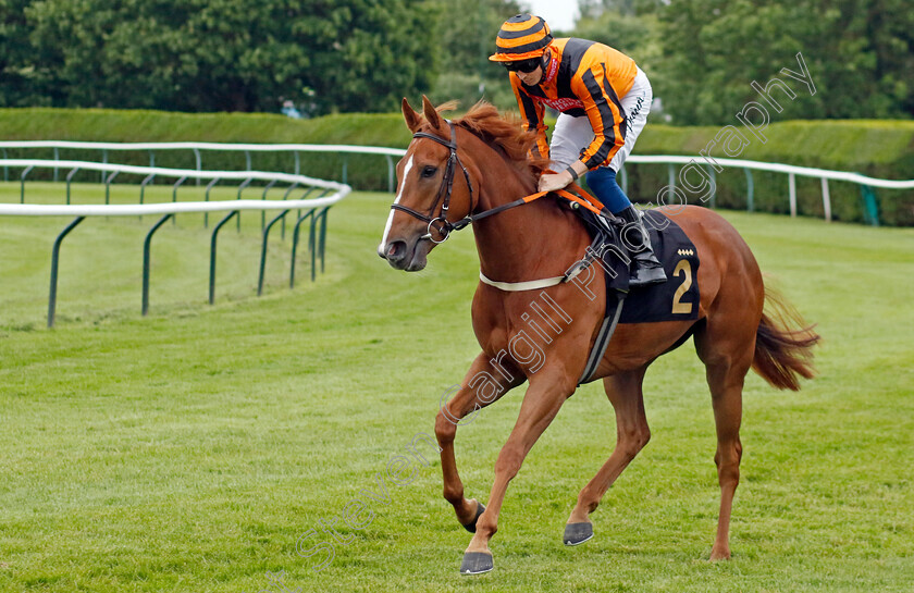 Mereside-Diva-0006 
 MERESIDE DIVA (David Probert) winner of The Bet At racingtv.com Handicap
Nottingham 30 May 2023 - Pic Steven Cargill / Racingfotos.com