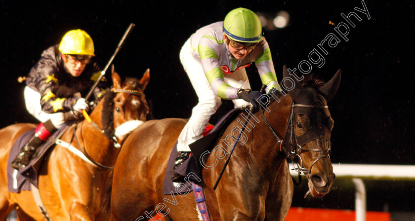 Mount-Wellington-0004 
 MOUNT WELLINGTON (Rob Hornby) wins The Betway Handicap
Wolverhampton 13 Jan 2020 - Pic Steven Cargill / Racingfotos.com