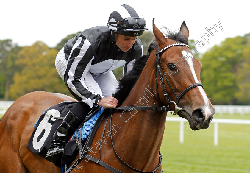 Grande-Dame-0001 
 GRANDE DAME (Ryan Moore) winner of The Naas Racecourse Royal Ascot Trials Day British EBF Fillies Stakes
Ascot 27 Apr 2022 - Pic Steven Cargill / Racingfotos.com