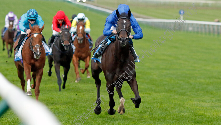 Devoted-Queen-0002 
 DEVOTED QUEEN (William Buick) wins The Godolphin Under Starter Orders Maiden Fillies Stakes Div1
Newmarket 13 Oct 2023 - Pic Steven Cargill / Racingfotos.com