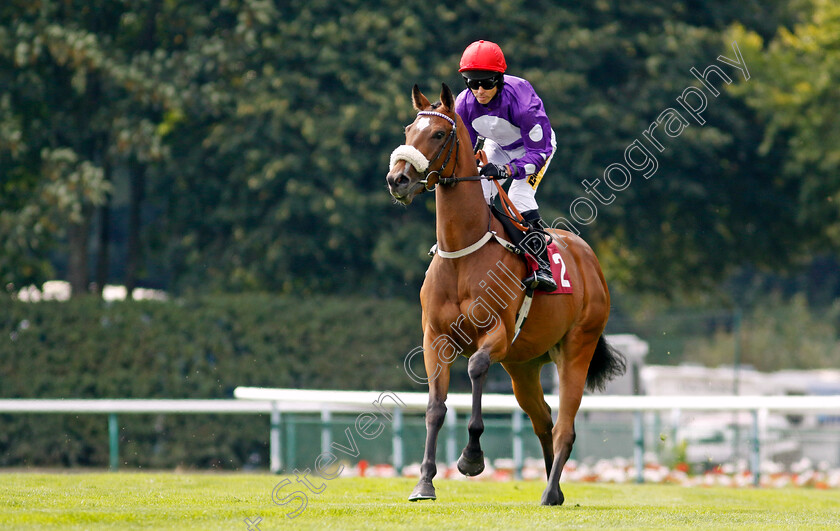 Carmentis-0001 
 CARMENTIS (Graham Lee)
Haydock 2 Sep 2022 - Pic Steven Cargill / Racingfotos.com