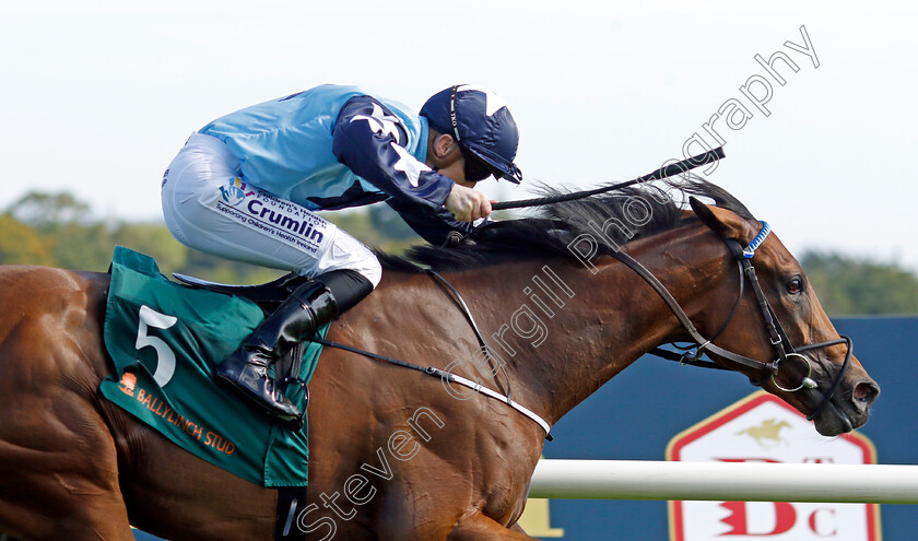 Kitty-Rose-0001 
 KITTY ROSE (Billy Lee) wins The Ballylinch Stud Irish EBF Ingabelle Stakes
Leopardstown 9 Sep 2023 - Pic Steven Cargill / Racingfotos.com