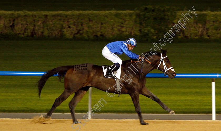 Muntazah-0007 
 MUNTAZAH (Jim Crowley) wins The Firebreak Stakes
Meydan 14 Feb 2019 - Pic Steven Cargill / Racingfotos.com