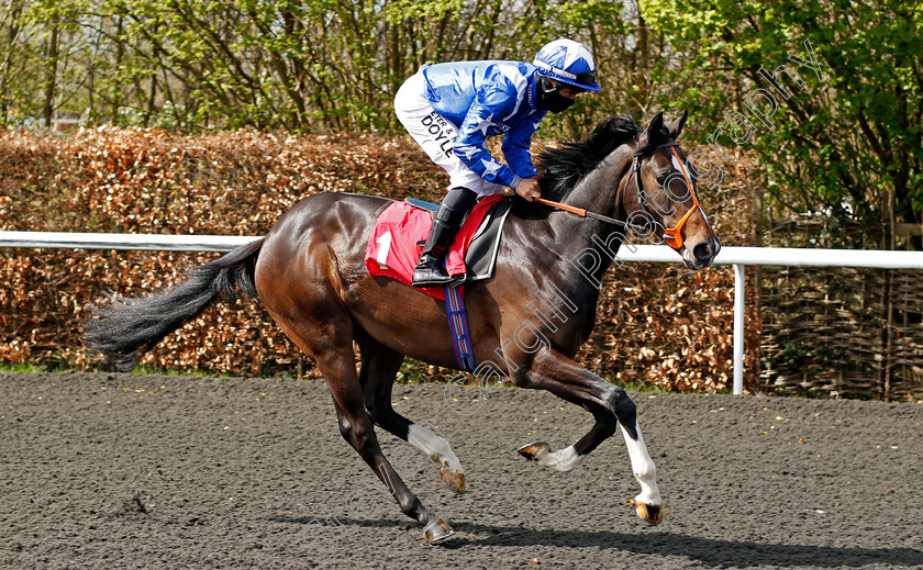 Dukebox-0001 
 DUKEBOX (Sean Levey) winner of The Play Slingo Starburst At Unibet EBF Novice Stakes
Kempton 5 Apr 2021 - Pic Steven Cargill / Racingfotos.com