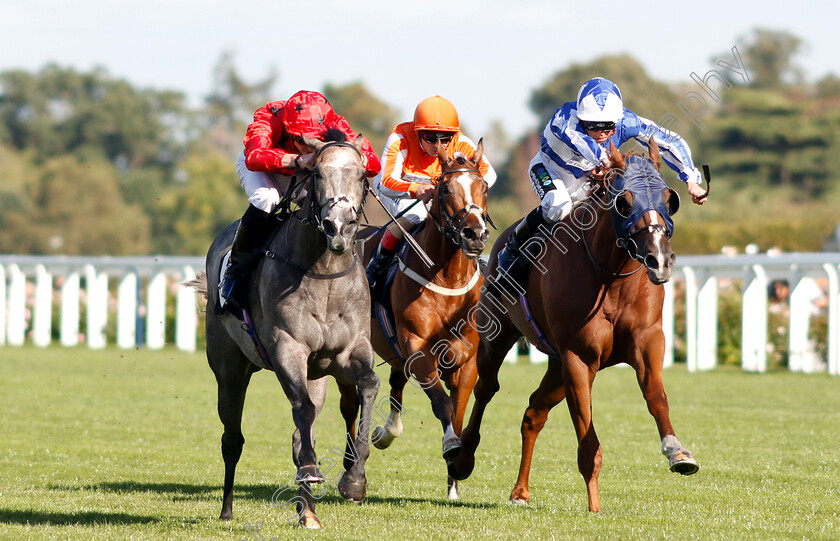 Silver-Quartz-0001 
 SILVER QUARTZ (left, James Doyle) beats ZWAYYAN (right) in The Weatherbys Handicap
Ascot 7 Sep 2018 - Pic Steven Cargill / Racingfotos.com